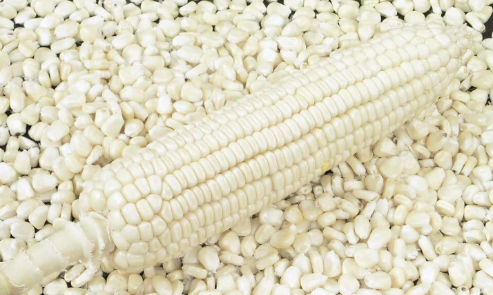 South African white maize price climbs again due to heatwave and lack of summer rain