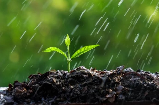 An end to La Niña rains in South African agriculture