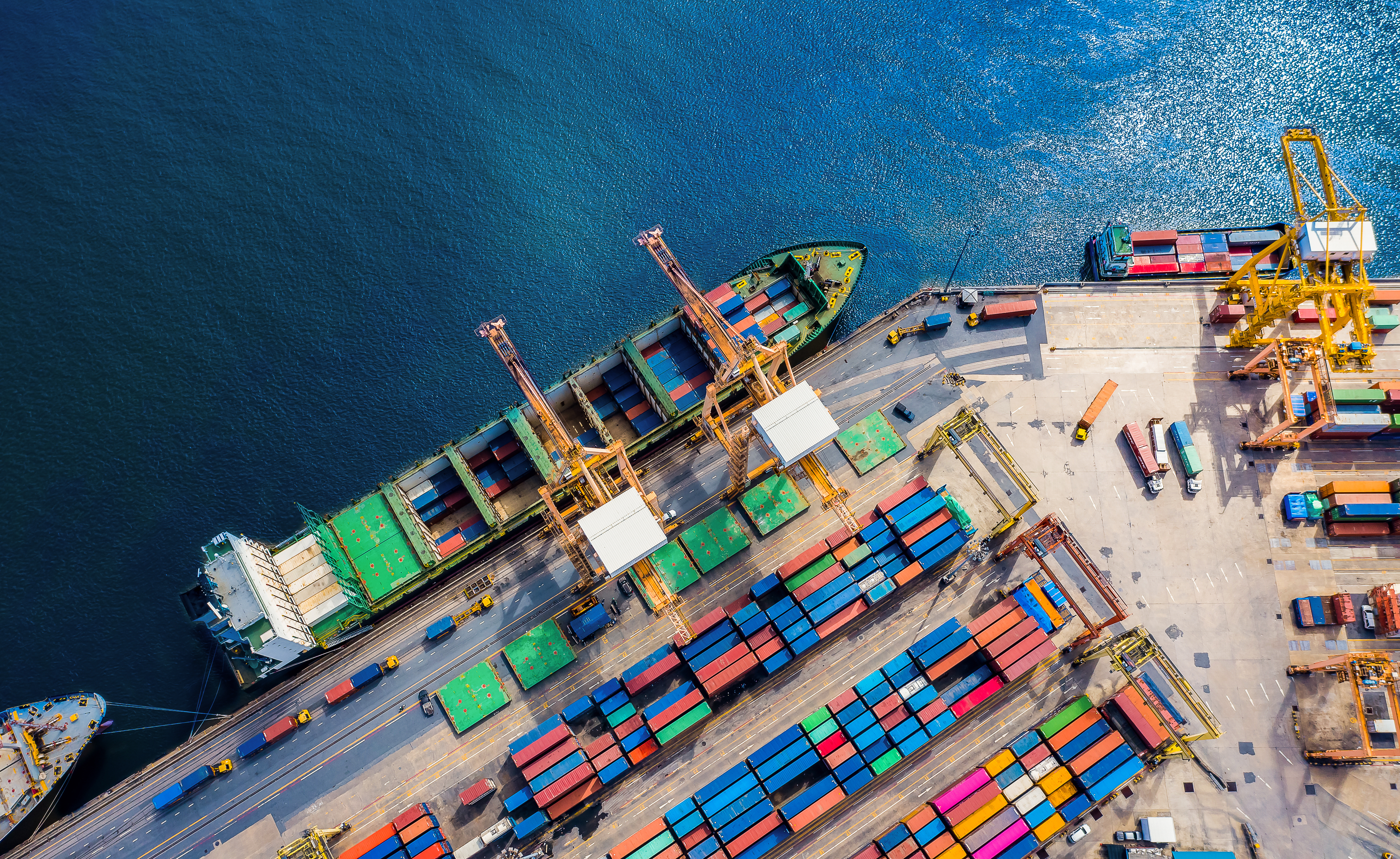 SA agriculture exports showed resilience in 2022 despite headwinds