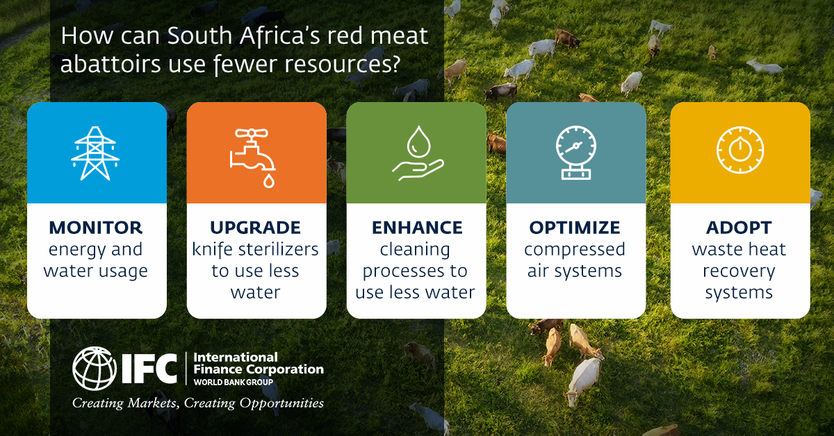 Resource efficiency in red meat abattoirs in South Africa 
