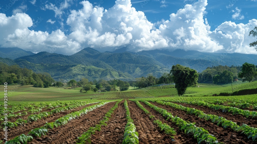 Renewed thrust for land reform measures – expropriation, land ceilings, land register?