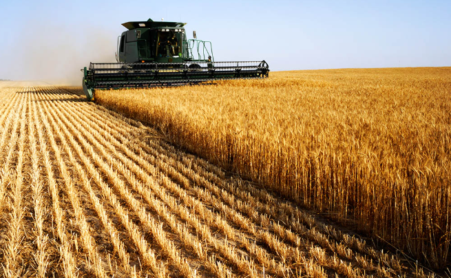 South Africa’s Wheat Harvest Progressing Smoothly