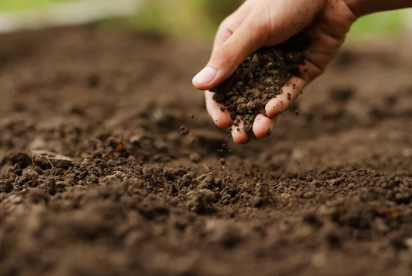 The Worrying drought in parts of the Eastern, Western and Northern Cape provinces of South Africa