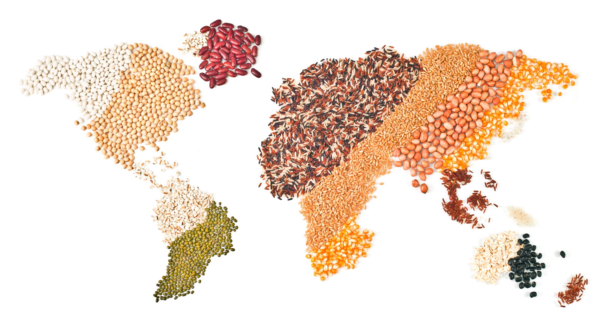 Reflections on global grains and oilseeds market